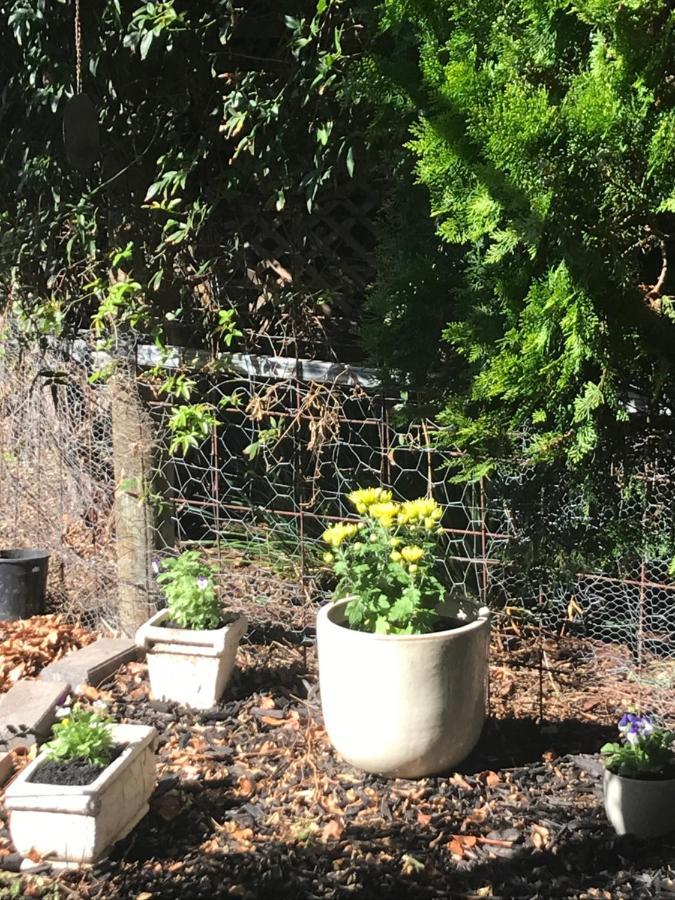 Birdsong Gardens Apartment Quorn Bagian luar foto